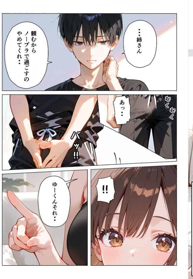 義姉さんはシたい モザイク版