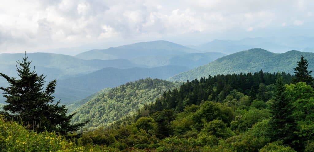 shutterstock 2250122491