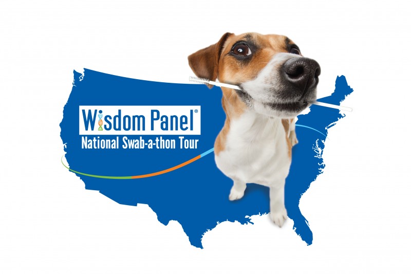 Do Your Pet a Favor and Get a DNA Test