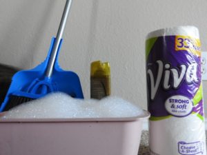 if you want your home to be Allergy-Free (Even With Pets) you need the right tools