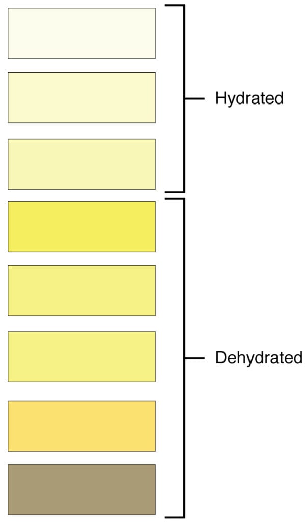 urine color chart