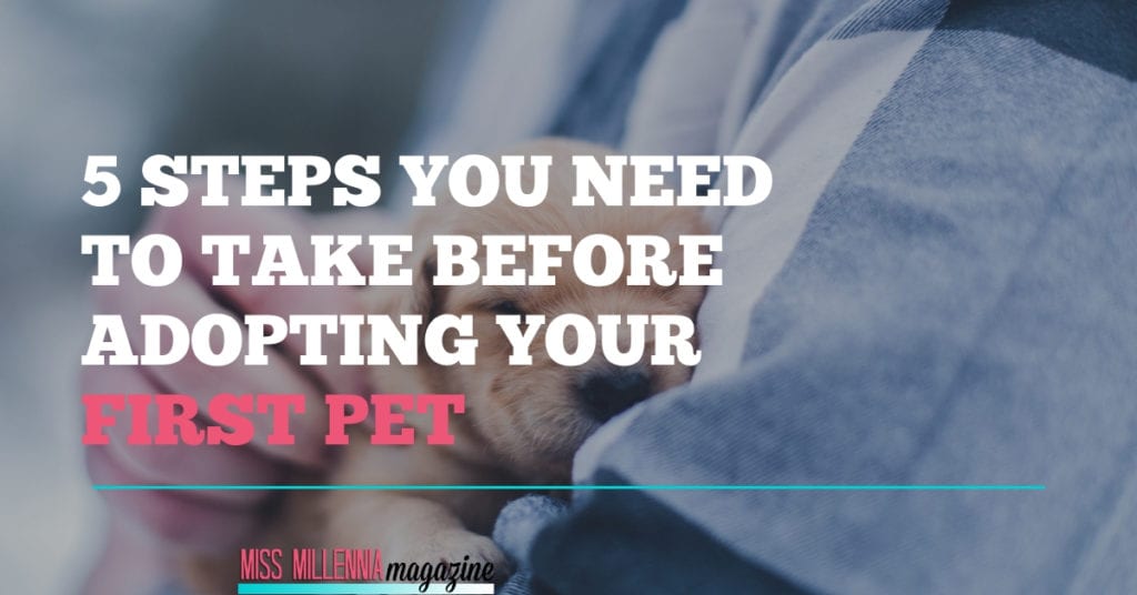 5 Steps You Need To Take Before Adopting Your First Pet 5 Steps You Need To Take Before Adopting Your First Pet