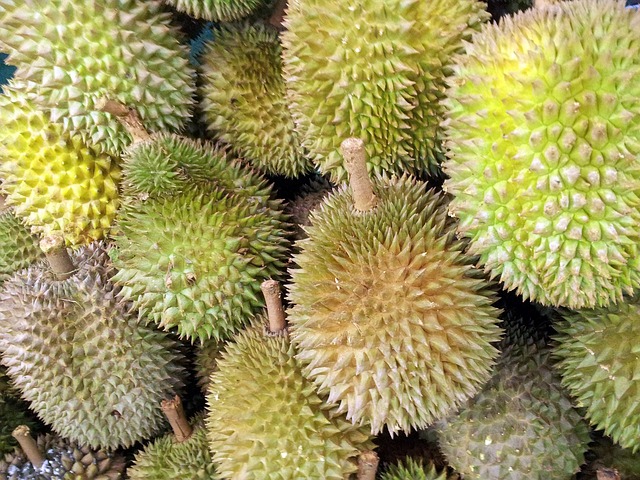 You can use the following text: Image by PublicDomainPictures from Pixabay you need to eat these unusual aphrodisiacs. Durian