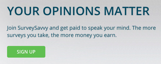 Survey Savvy's Savvy Connect Survey Savvy's Savvy Connect