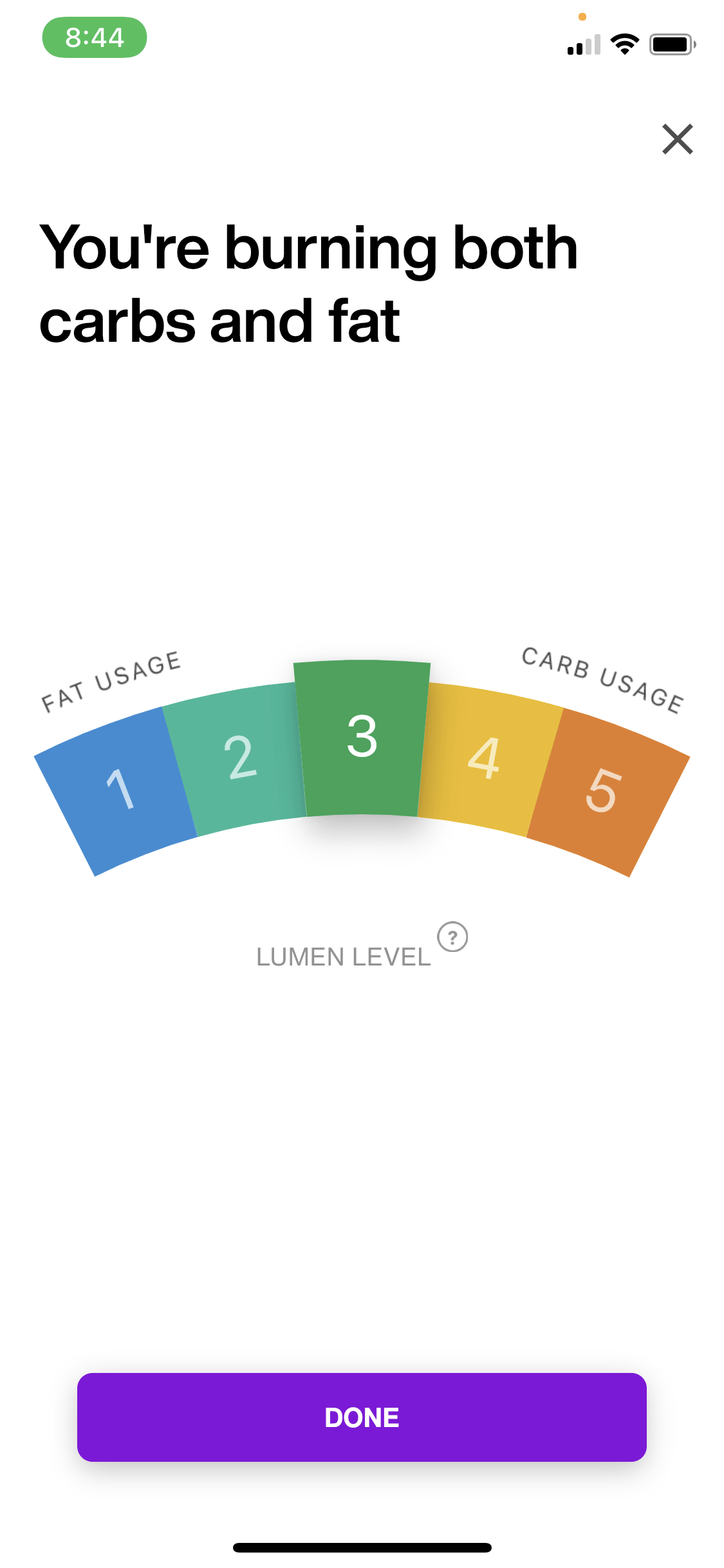 Is The Lumen Metabolism Tracker Worth It? My Review Does Lumen Work for Weight Loss? Plus 6 Other Lumen Reviews 2022