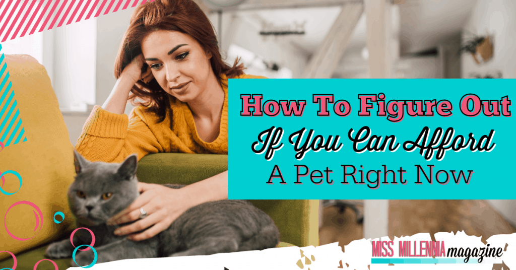 How To Figure Out If You Can Afford A Pet Right Now