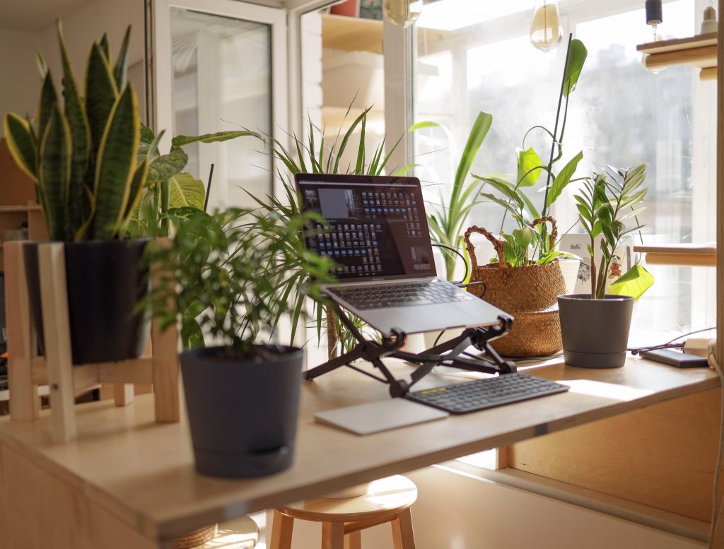 A laptop sitting on a standing desk surrounded by plants