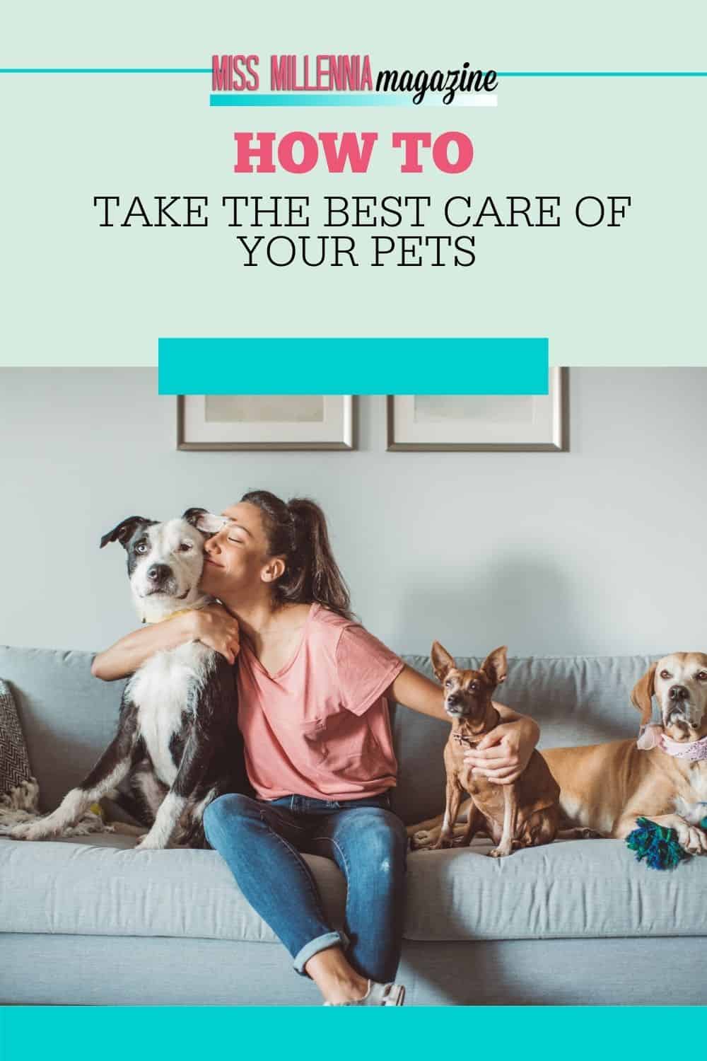 How To Take The Best Care Of Your Pets