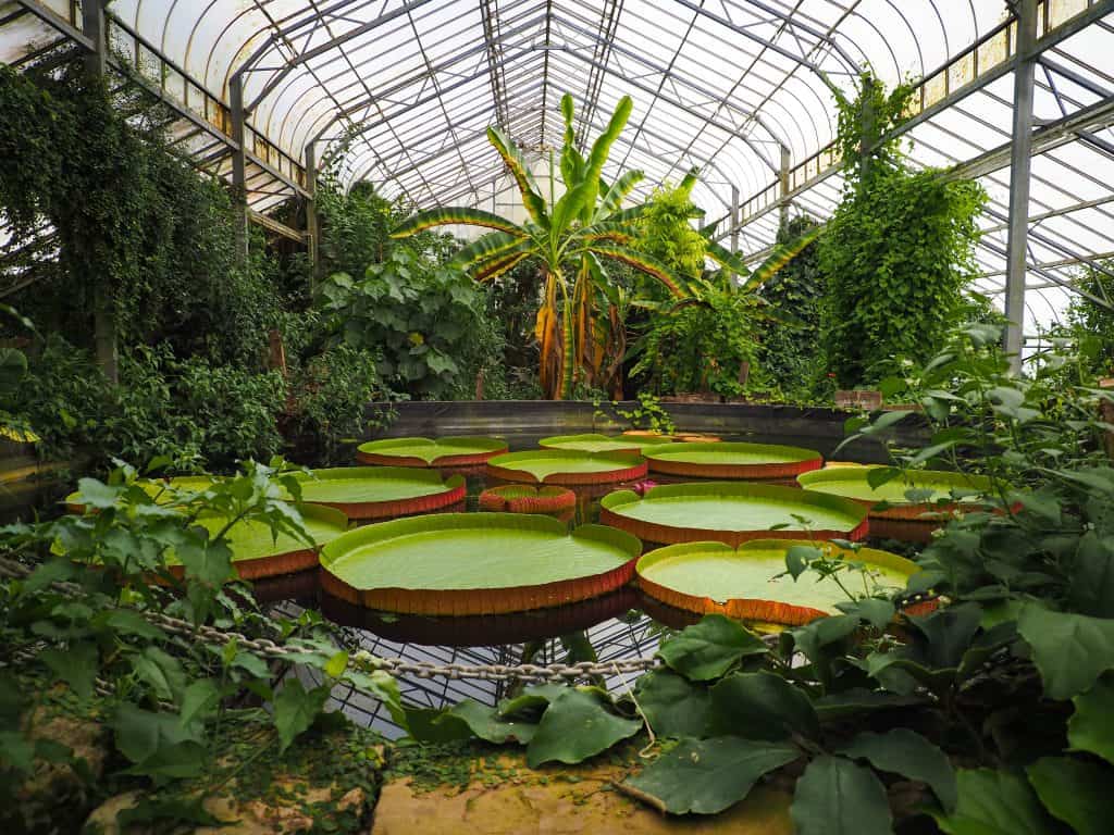 Ventnor Botanic Garden