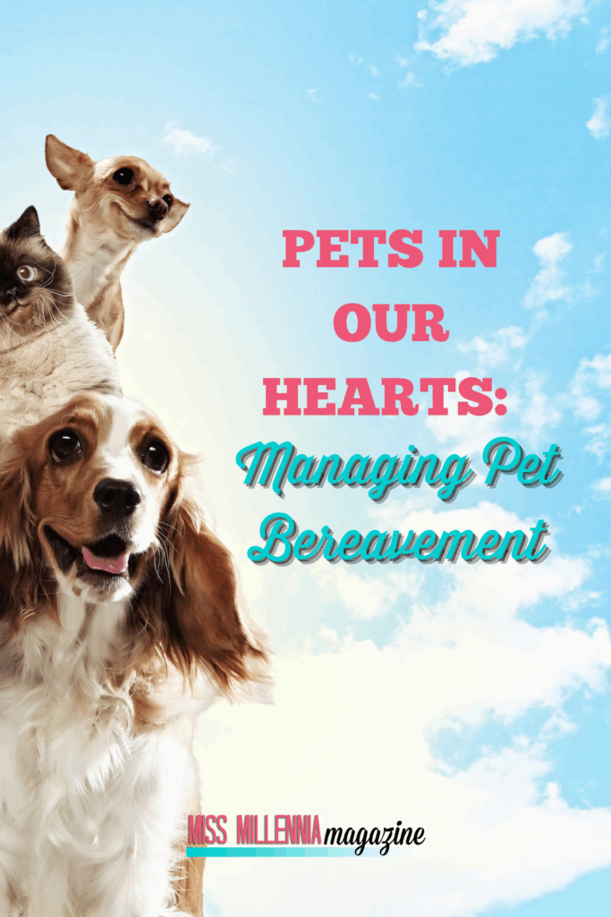 Pets in Our Hearts: Managing Pet Bereavement