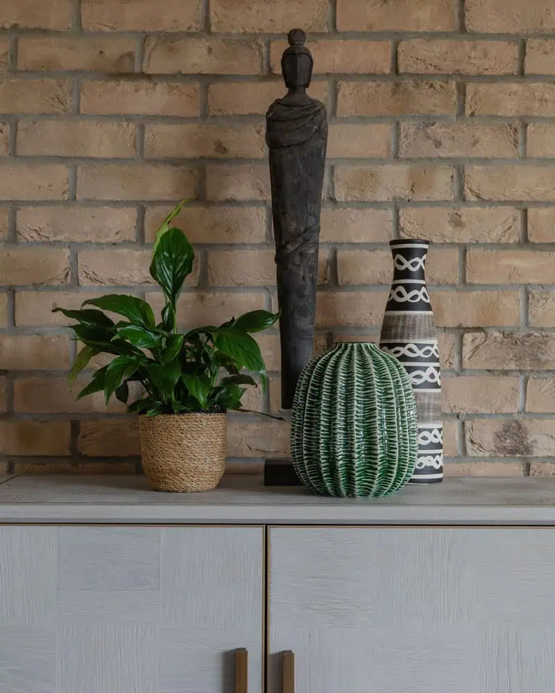 Modern interior decor with plants and decorative vases in a contemporary Wimbledon home.