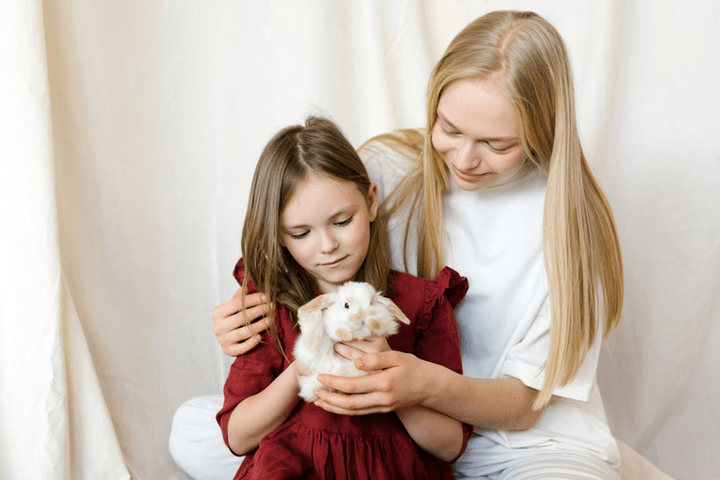 Схема воспитания детей: ориентир для родителей