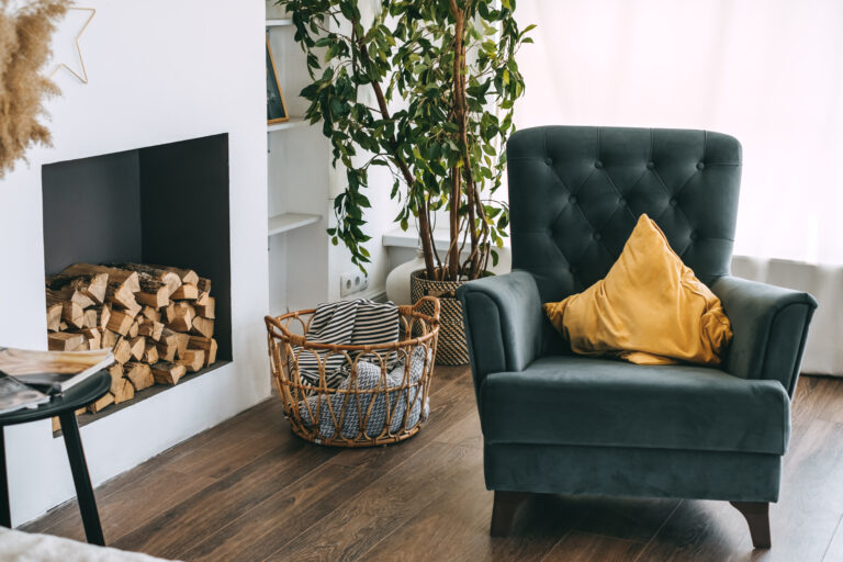 Decorating With Indoor Plants