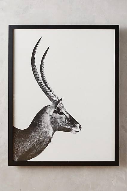 Antellope Sentry Wall Art from Anthropologie