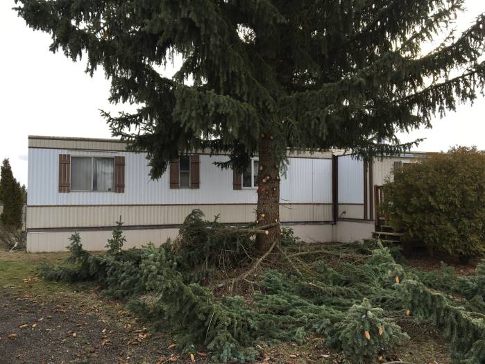 1979 single wide remodel - landscaping the property