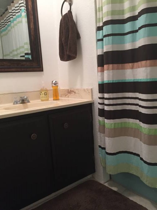 Cool Double Wide Decor in Arizona second bathroom
