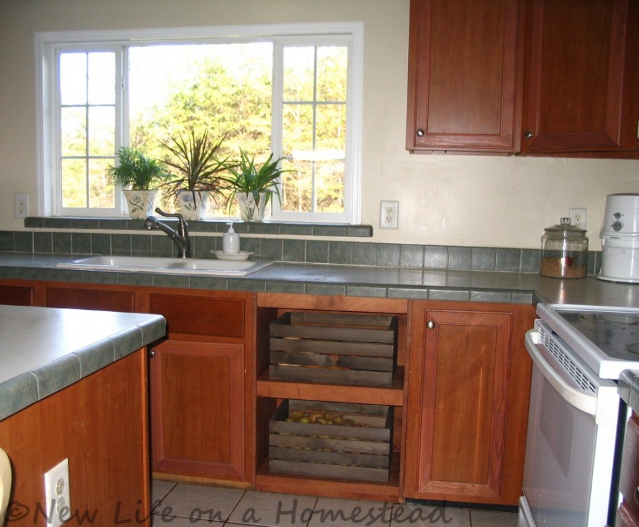 Double wide manufactured home - kitchen - replacing the dishwasher - homesteading
