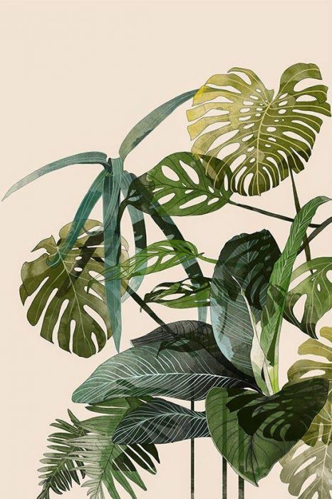 Free Palm Illustration Printable