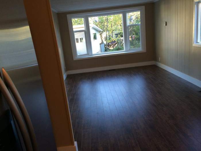Great Remodeled Single Wide for sale - Living room after
