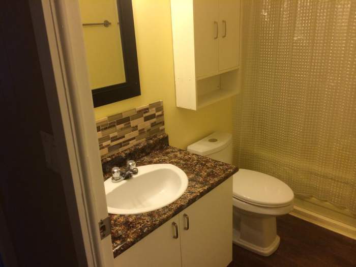 Great Remodeled Single Wide for sale -bathroom after