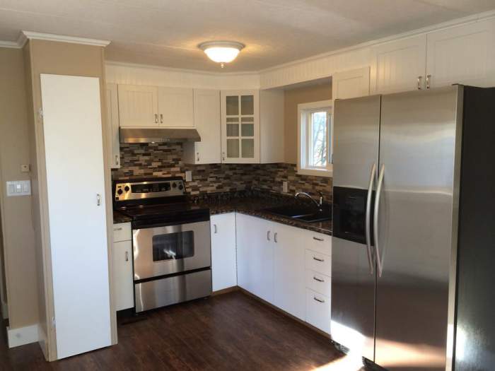Great Remodeled Single Wide for sale - kitchen after