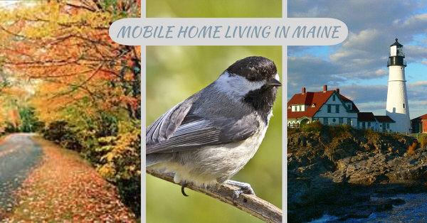 buying a mobile home in Maine