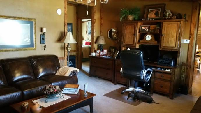 Manufactured Home Rustic Cabin Makeover - Living Room 2