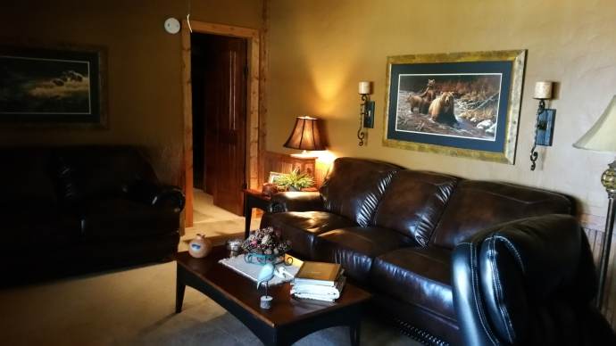 Manufactured Home Rustic Cabin Makeover - Living Room