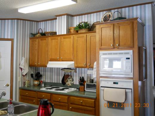 Manufactured Home Before Log Siding and Cabin Decor Makeover