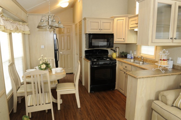 Park Model Homes Living rooms