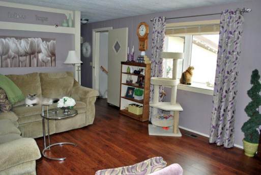 Remodeled Manufactured Home Inspiration - Living room 