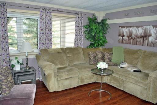 Remodeled Manufactured Home Inspiration - Living room