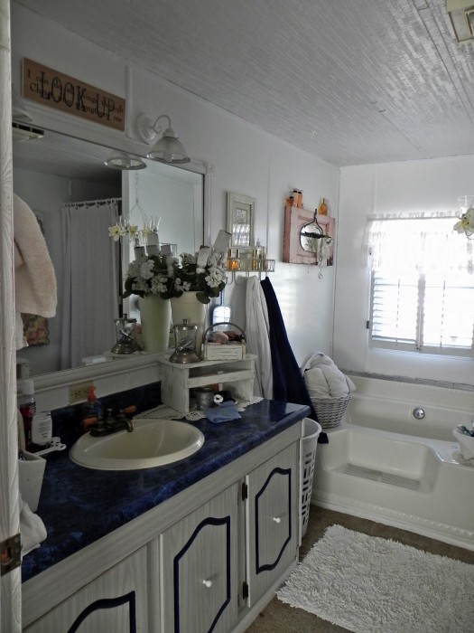 bathroom - double wide makeover ideas