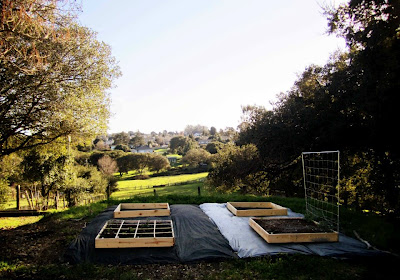 beginning2Bsq2Bft2Bgardening