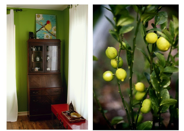divine double wide-decor