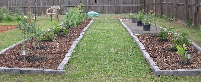 homesteading5