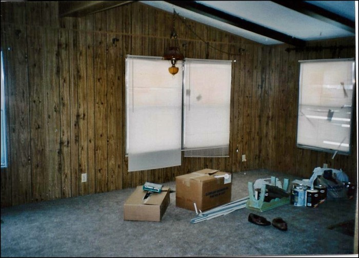 double wide makeover ideas - living room before 