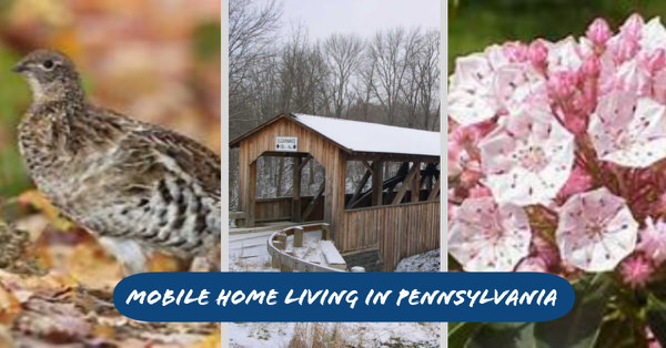 buying a mobile home in pennsylvania