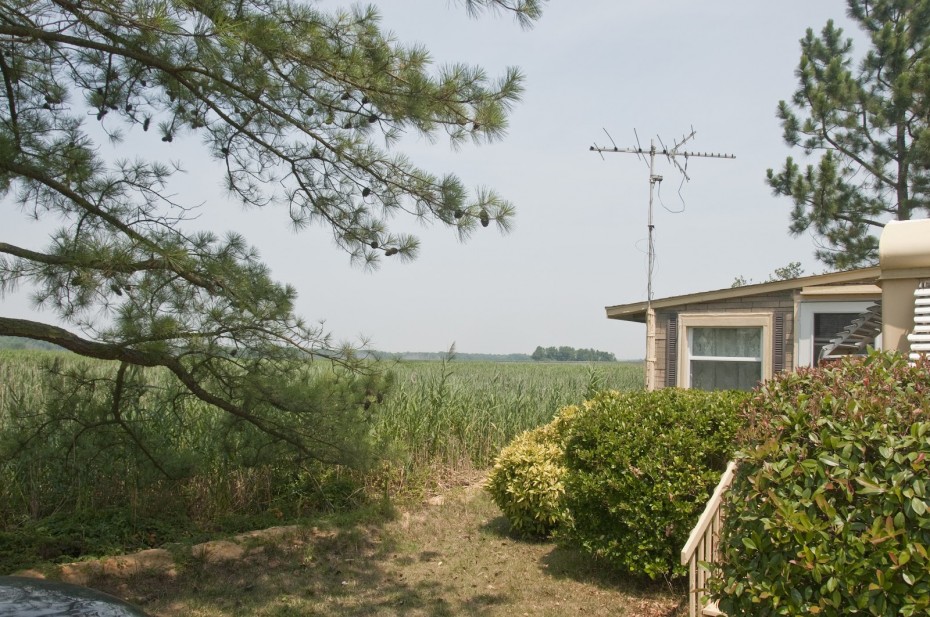 property bordering Delaware wetlands