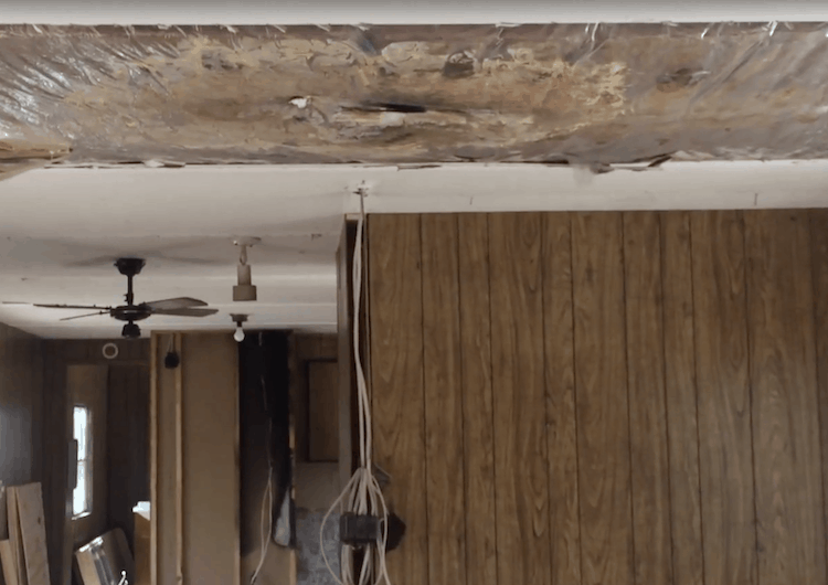 pulling old ceiling down in a mobile home4