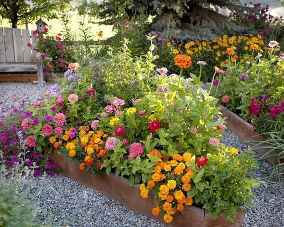 raised flower bed