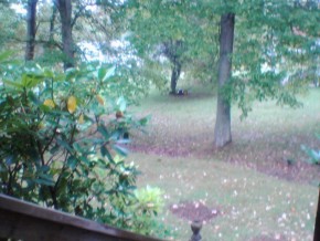 side yard