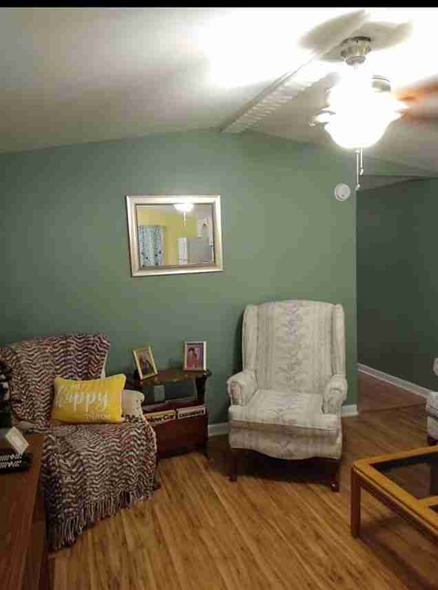 steve lancaster painted walls