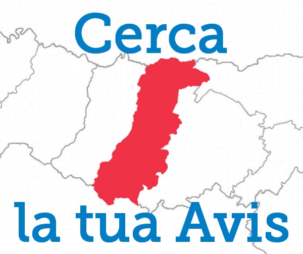 Cerca la tua avis in provincia di Modena