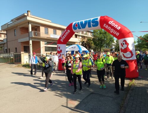 Marano,  3a Camminata dei Ciliegi