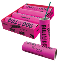 Champion Bulldog