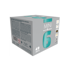 Mini 6