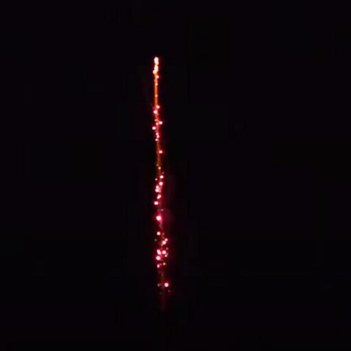Red strobe willow tail_WHSRC308046