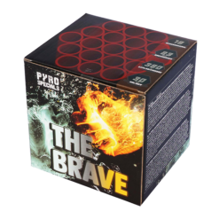 The Brave (Batch 2024)