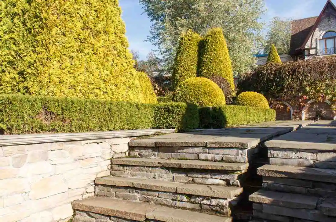 Hardscaping in Fremont, CA